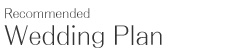 Recommended Wedding Plan